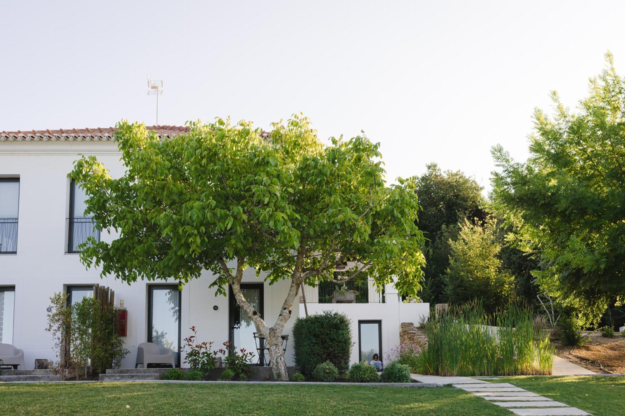 Cambeiros - Guest House Alenquer Buitenkant foto